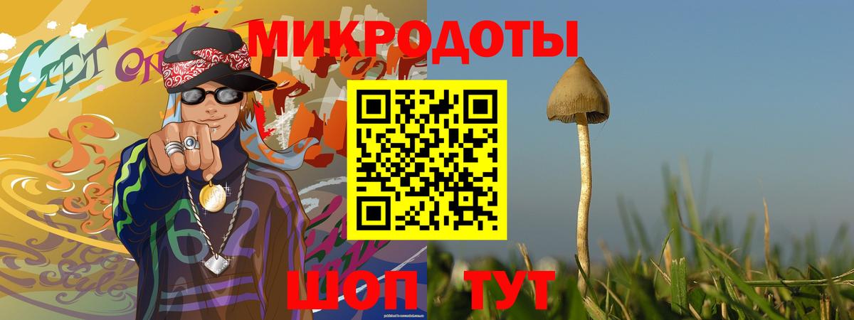 Псилоцибиновые грибы прущие грибы  Вход с VPN  Всеволожск 